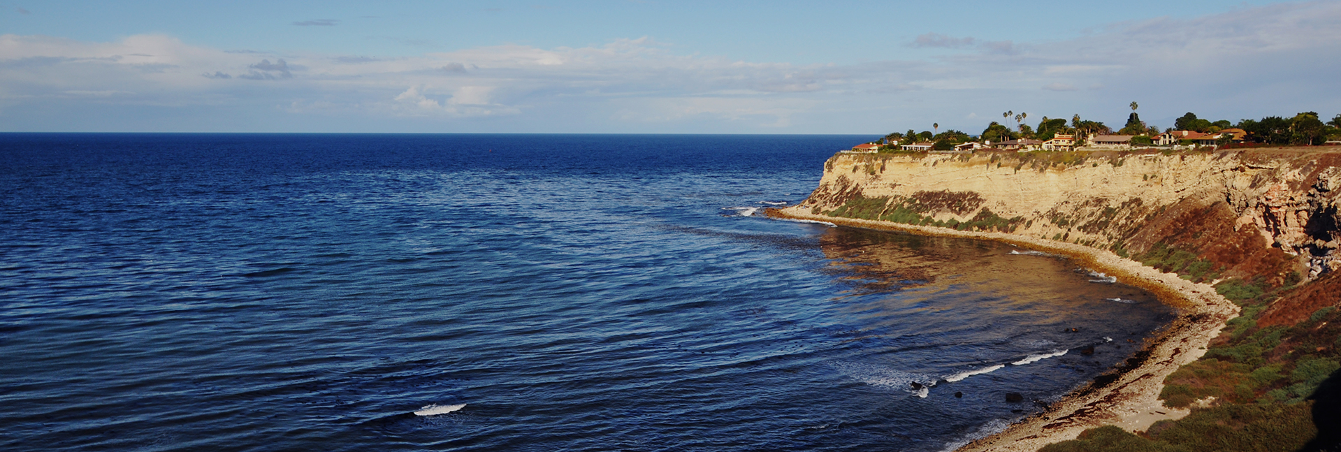 Cliff and Ocean View From Realtor Home